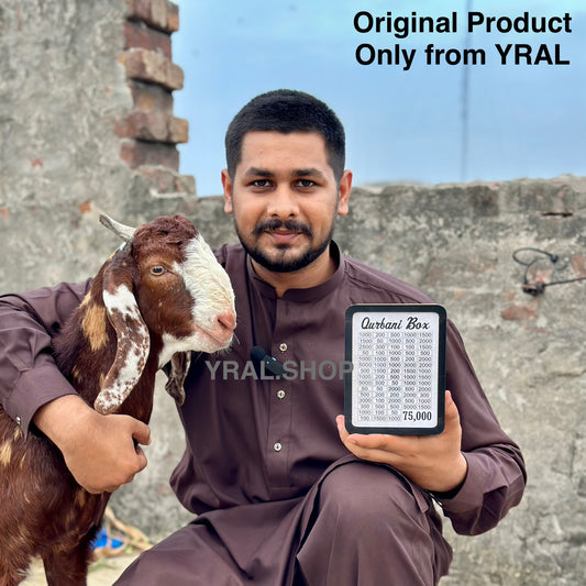 Qurbani Saving Box – Handmade Premium Wooden
